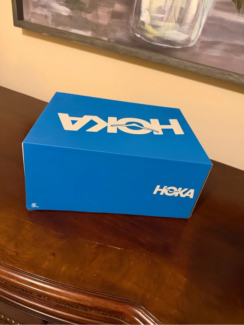 Hoka Bright Blue Shoe Storage Box with White Logo